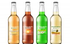 biozevtika_new_lemonades_1