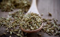 biozevtika_fennel